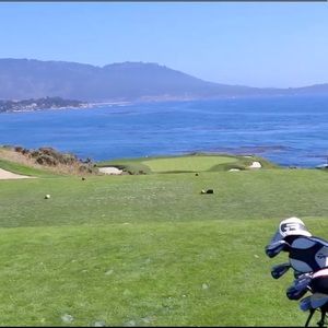 Meet your Posher, Newt